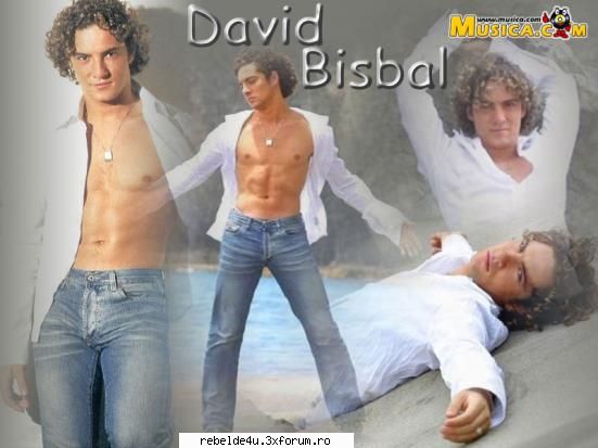 ----david bisbal---- wallpapers