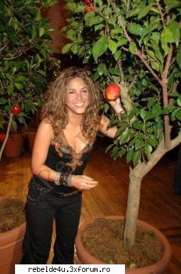 `/`/Shakira`/`/ - schwarz_girl_heart - Music...